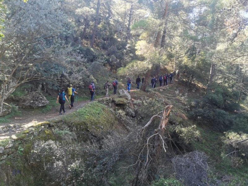 Athens Sunset Hike - Comparing This Tour with Other Athens Experiences