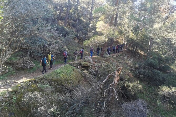 Athens Sunset Hymettus Mountain Hike - Athens Sunset Hymettus Mountain Hike: A Worthwhile Escape