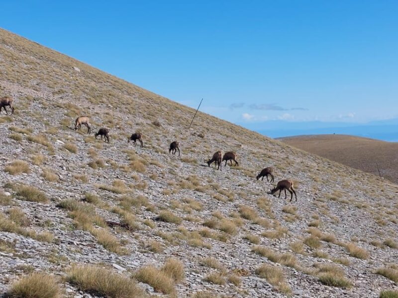 Athens to Mount Olympus: 2 days private tour - Custom Routes and Hiking Options on Day Two