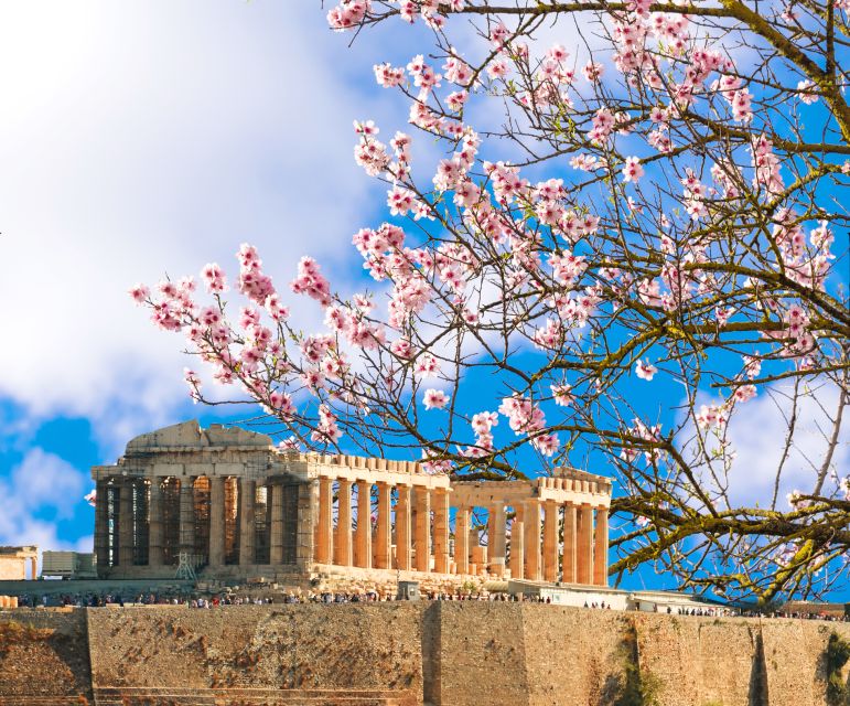 Athens: Top Sights Private Half-Day Tour - The Panathenaic Stadium and Its Olympic Heritage