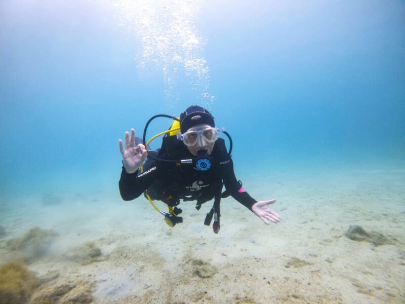 Athens: Try Scuba Diving - The Role of the Professional Guides and Support