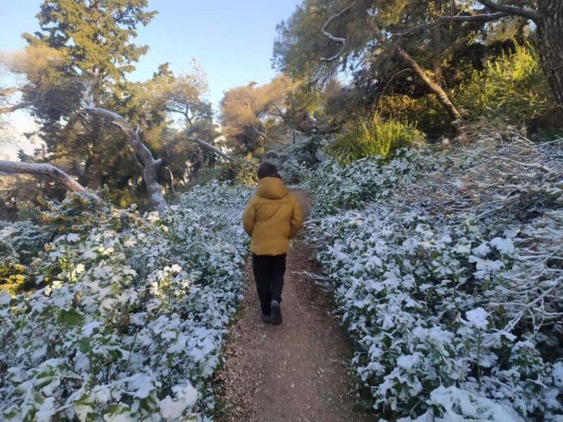 Athens: Ultimate Sunrise Hike - The Guide and Group Experience