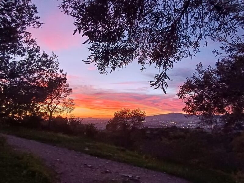 Athens Western Hills Guided Walking Tour - Final Thoughts on the Athens Western Hills Guided Walk