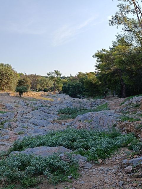 Athens Western Hills Guided Walking Tour - Frequently Asked Questions