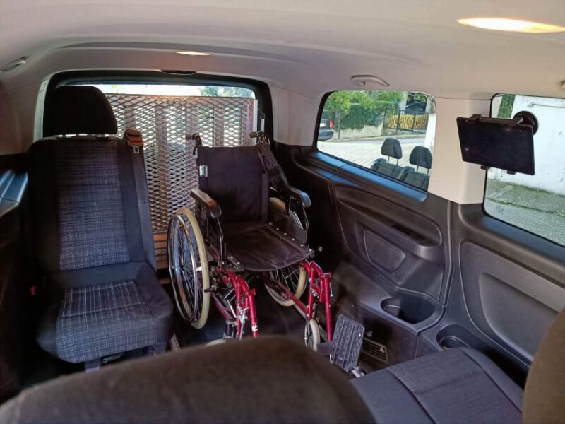 Athens: Wheelchair accessible Top Sights Half-Day Tour - Exploring the Panathenaic Stadium