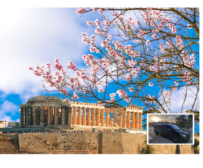Athens: Wheelchair accessible Top Sights Half-Day Tour - Athens: Wheelchair accessible Top Sights Half-Day Tour – Who Should Consider It?