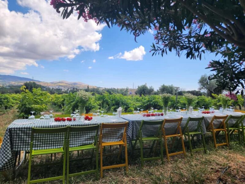 Athens Wine Experience & Sunset Escape - Athens Wine Experience & Sunset Escape: Final Thoughts