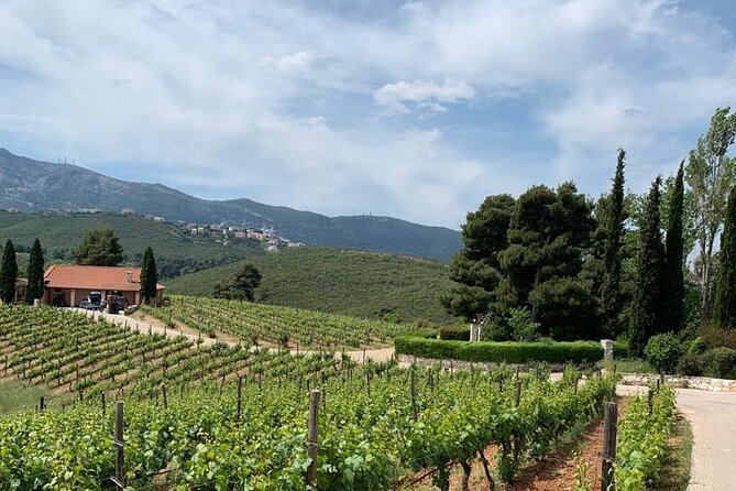 Athens Wine Tour - An Outstanding Full Day Experience For Dedicated Winelovers - Key Points