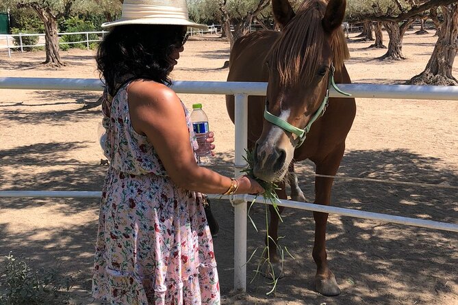 Athens Wine Tour - An Outstanding Full Day Experience For Dedicated Winelovers - Visiting Two Prestigious Wineries