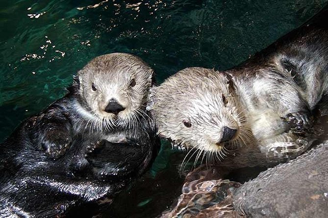 Atlanta CityPASS® - Limitations and Important Considerations