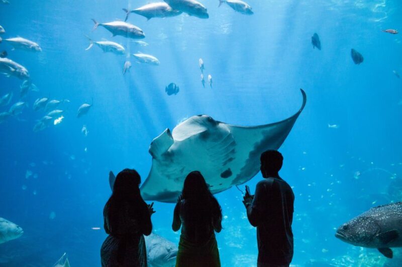 Atlanta CityPASS®: Save up to 49% at 5 Top Attractions - Discover the World of Coca-Cola with General Admission