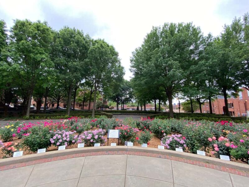 Atlanta: Downtown, Midtown, and Buckhead Highlights Tour - Tour Inclusions and Practical Details