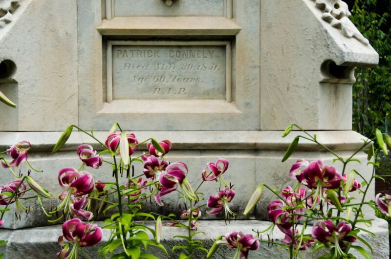 Atlanta Food and Cemetery Tour - Why This Tour Offers Good Value