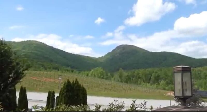 Atlanta: Georgia Vineyards Wine Tour - The Meeting Point: 191 Peachtree Tower in Downtown Atlanta
