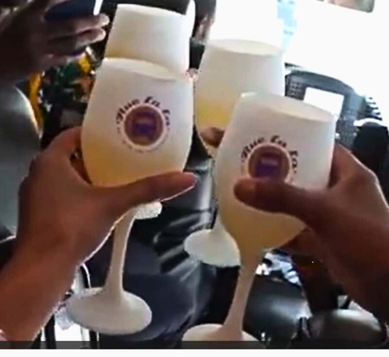 Atlanta: Georgia Vineyards Wine Tour - Wine Tastings and Vineyard Tours