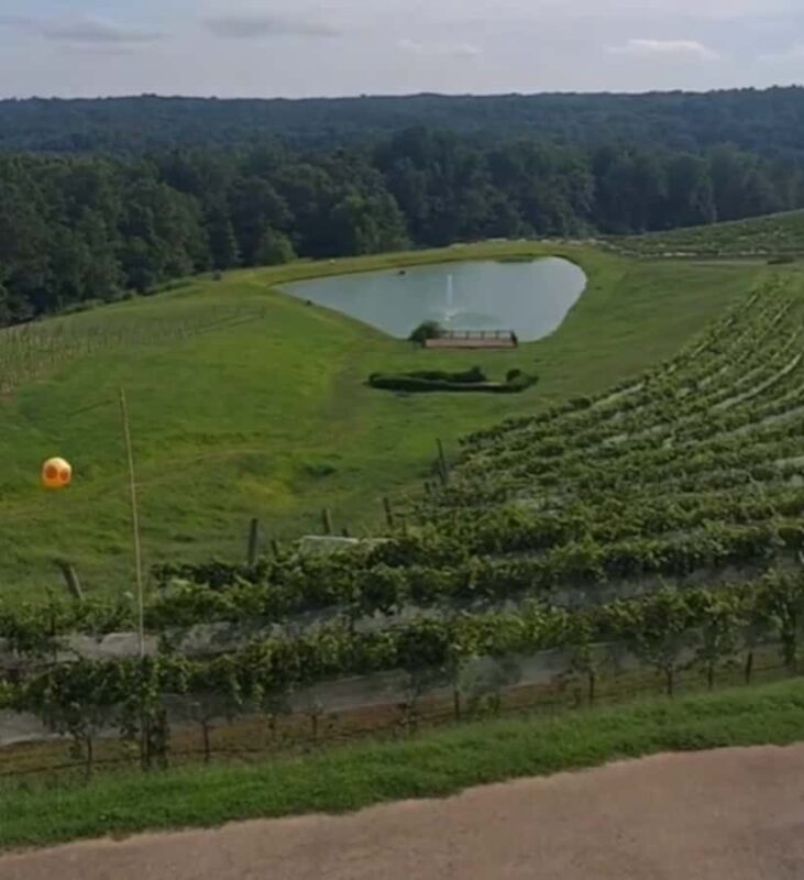 Atlanta: Georgia Vineyards Wine Tour - Scenic Views and Photo Opportunities