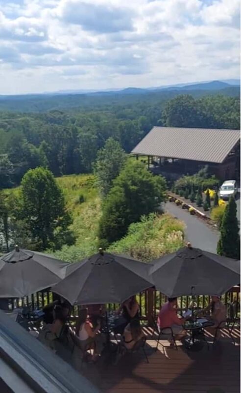 Atlanta: Georgia Vineyards Wine Tour - Lunch at a Renowned Wine Estate