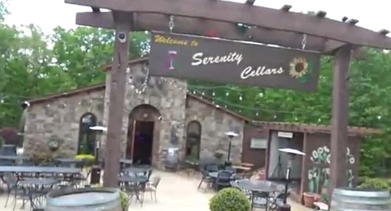 Atlanta: Georgia Vineyards Wine Tour - The Experience Guide and Personalization