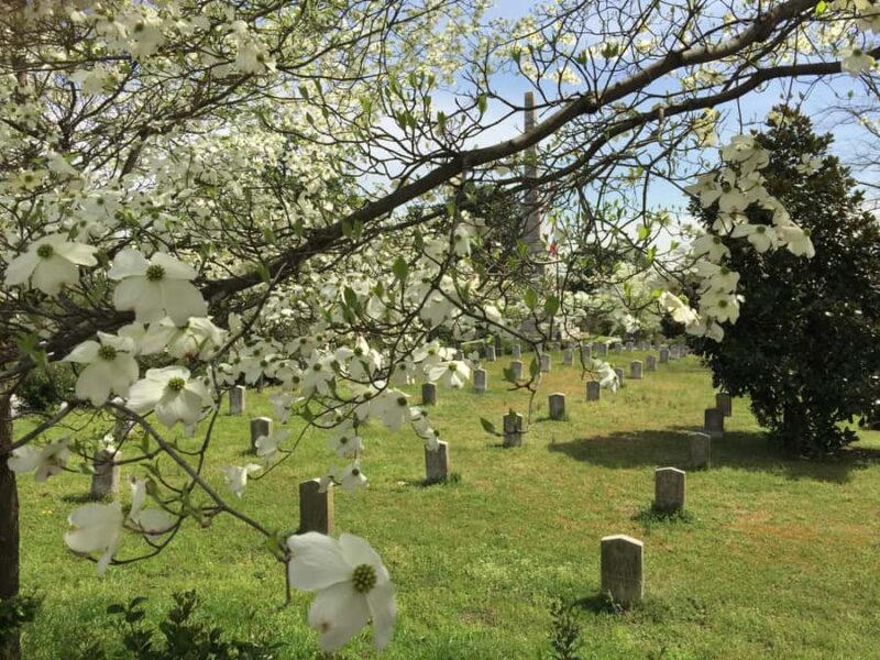 Atlanta: Margaret Mitchell & Gone With the Wind Private Tour - The Significance of Peachtree Street and Mitchell’s Final Home