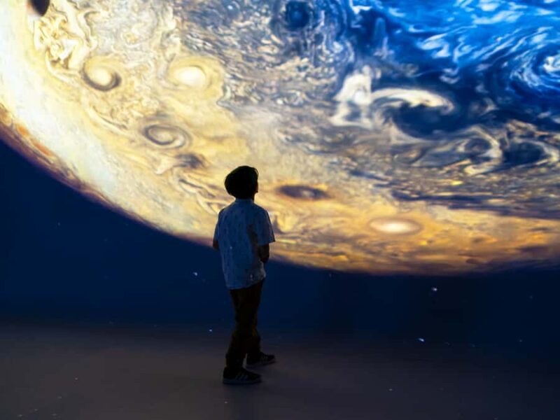 Atlanta: The Illuminarium Day Pass - Witness the African Savanna in "WILD: A Safari Experience"