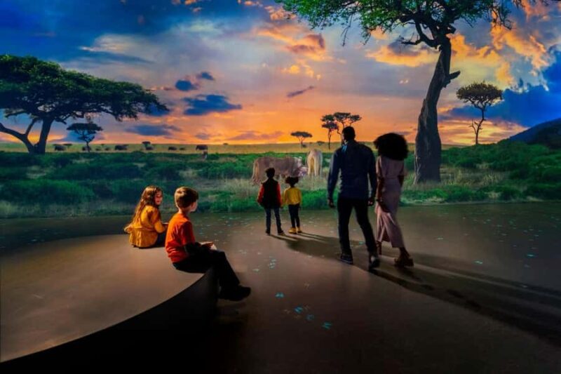 Atlanta: The Illuminarium Day Pass - Group Size and Accessibility