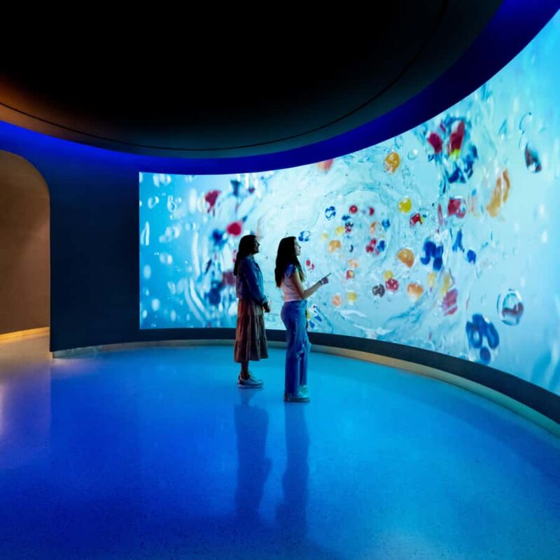 Atlanta: World of Coca-Cola General Admission Ticket - Limitations and Opportunities for Improvement