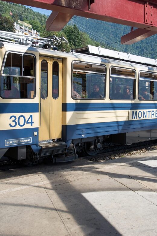 Attraction Ticket: Montreux to Rochers-de-Naye - Discover the Scenic Journey from Montreux to Rochers-de-Naye