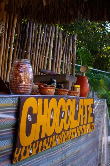 ATV 4×4+Snorkeling+Beach Club+ Lunch+Sabores de Cozumel - Thrilling ATV Jungle Ride and Snorkeling in Cozumel for $95