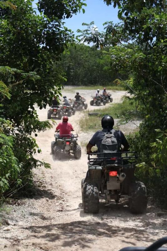 ATV Adventour: Cenote Caverna Jade, Transportation & Tequila - Comparing Similar Cozumel Tours