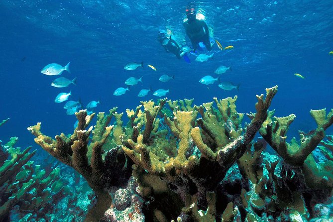 ATV Adventure Combo with Snorkeling, Ziplines, Cenote, and Lunch - Swimming and Exploring the Mayan Cenote