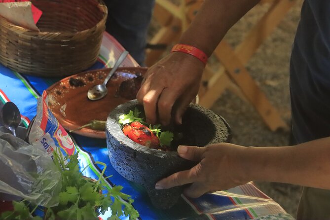 ATV adventure through the mountains of Puerto Vallarta - Wildlife, Flora, and Ecosystem Insights