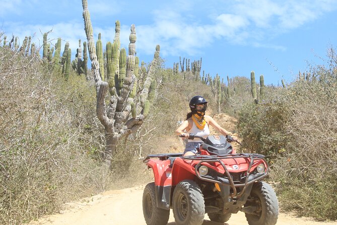 ATV and Camel Experience Los Cabos - Beach Stop and Pacific Ocean Views