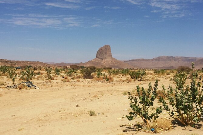 ATV Desert Adventure in Baja California Sur with Tequila Tasting - Scenic Mountain and Desert Trails with Elevated Lookouts