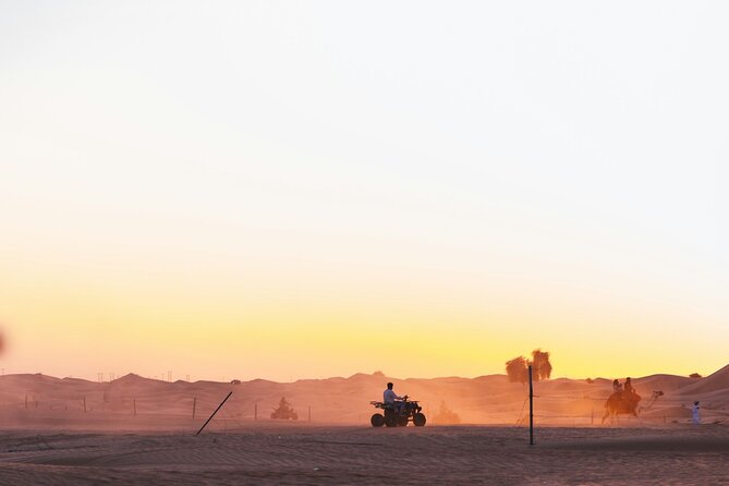 ATV Desert Adventure in Baja California Sur with Tequila Tasting - Final Thoughts on the Baja California Sur ATV Adventure