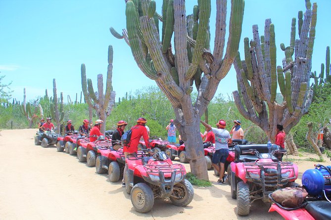ATV Desert & Beach ride over the mountains and through Migrino beach! - Exciting ATV Adventure in Baja: Desert and Beach Ride for $130