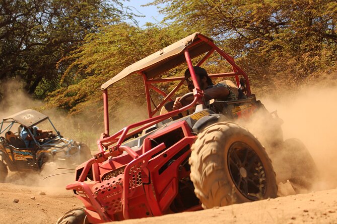 ATV Off Road Adventure - Discover the Rugged Trails of Coral Crater on an ATV Adventure