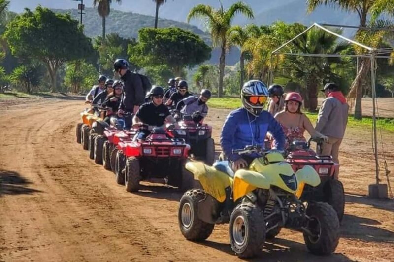 ATV Off Road Adventure Shore Excursion with Taco Stop - Experience a Personalized ATV Off-Road Adventure in Ensenada