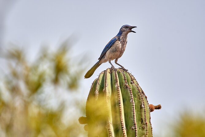 ATV Pacific Tour in Cabo San Lucas - Customer Experience and Guide Excellence
