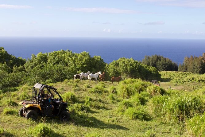 ATV Ranch ride Big Island Hawaii - Practical Details: Meeting Point, Timing, and Requirements
