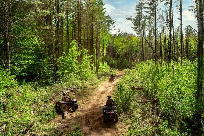 ATV Rentals for Outdoor Adventure near Orlando and Tampa - Key Points