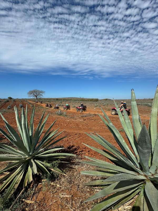 ATV & TEMAZCAL COMBO TOUR - Savoring a Regional Mexican Lunch