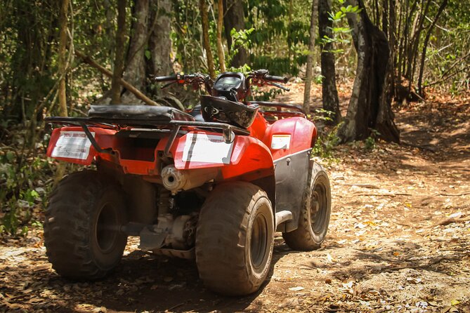 ATV Tour and Cenote Experience in Cozumel - Physical Requirements and Safety Precautions
