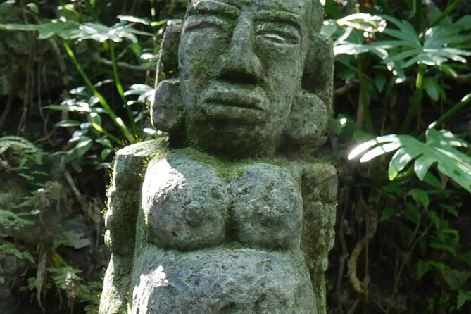 ATV Tour El Viejo y Yo Beach Pass with Lunch, Snorkel and Kayaks - Unbiased View of the Tours Strengths and Considerations