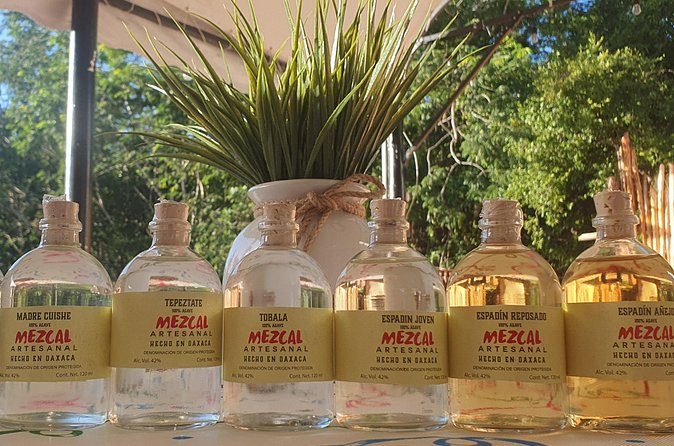 Atv Tour in Cozumel 4 Hours Adventure Relax And Tasting - Exclusive Access to Facilities and Relaxation Amenities