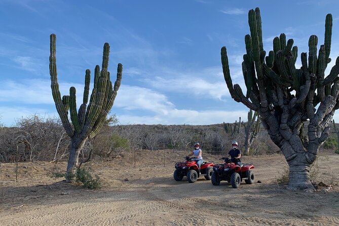 ATV Tour: San Jose del Cabo Hidden Beaches & Desert Trail - Frequently Asked Questions