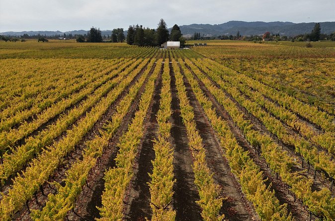 ATV Vineyard Tour and Wine Tasting - Logistics: Meeting Point and Duration