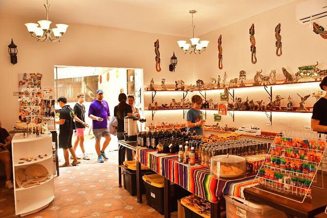 ATV, Zipline and Cenote at Extreme Adventuring with Tulum Pickup - The ATV Experience: Riding Through the Mayan Jungle