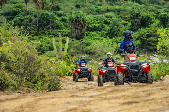 ATVs, UTVs, and Camel Ride in All Access Adventure Park and Beach - Camel Encounters on a Secluded Beach