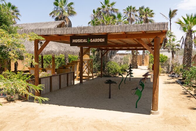 ATVs, UTVs, and Camel Ride in All Access Adventure Park and Beach - Optional Add-Ons: Tequila Tasting and Cooking Classes
