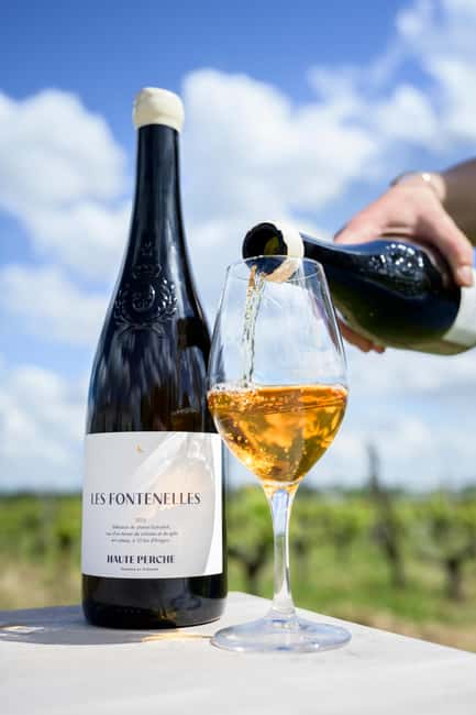 Aubance: Tour and Tasting at Domaine de Haute Perche - Key Points